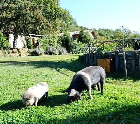 Agriturismo La Sorgente Di Farm stay Nepi